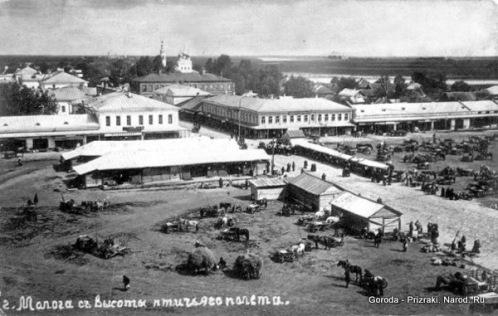 Молога